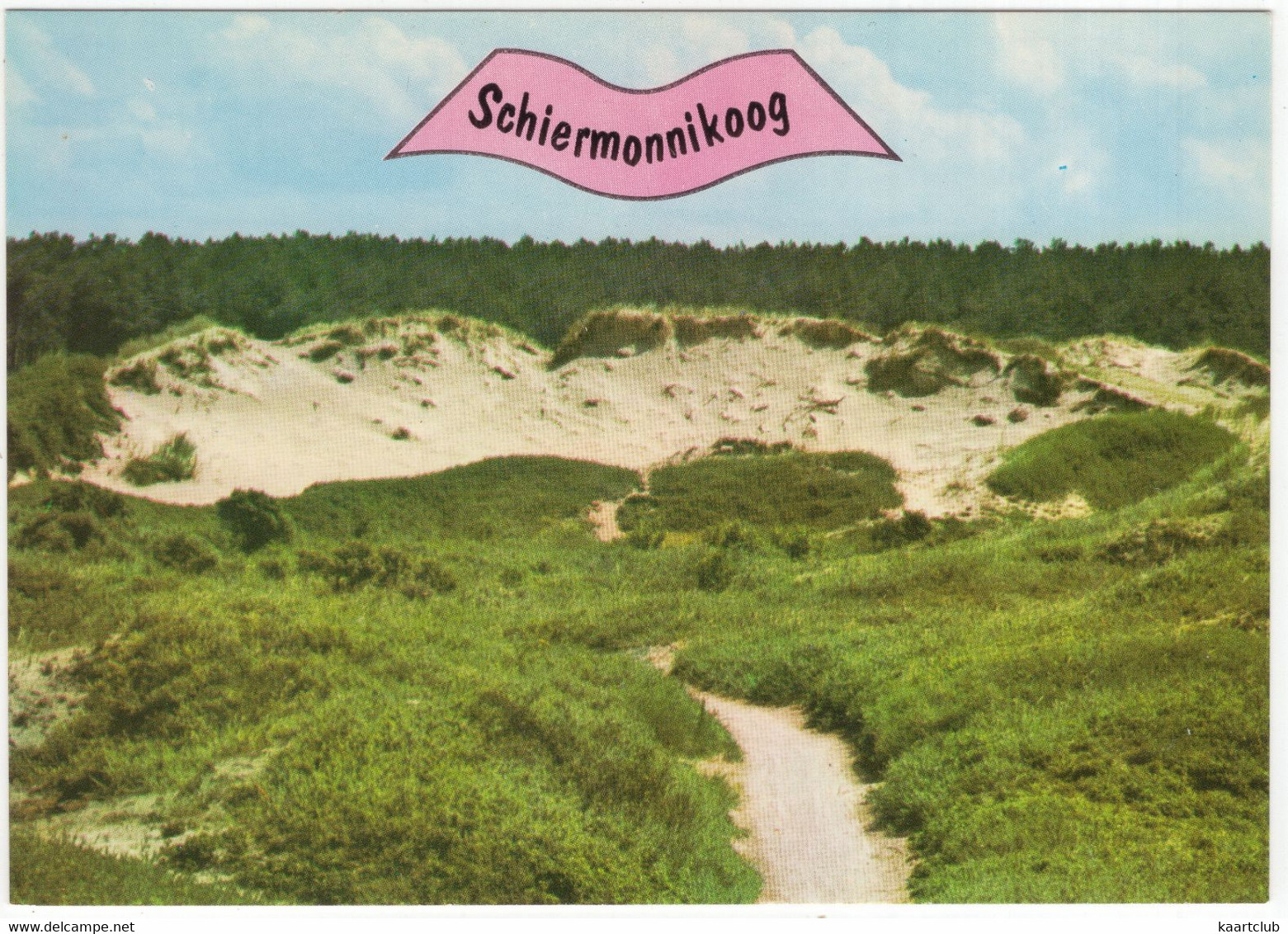 Schiermonnikoog - Duinen - (Nederland/Holland) - Nr. L 3467 - Schiermonnikoog