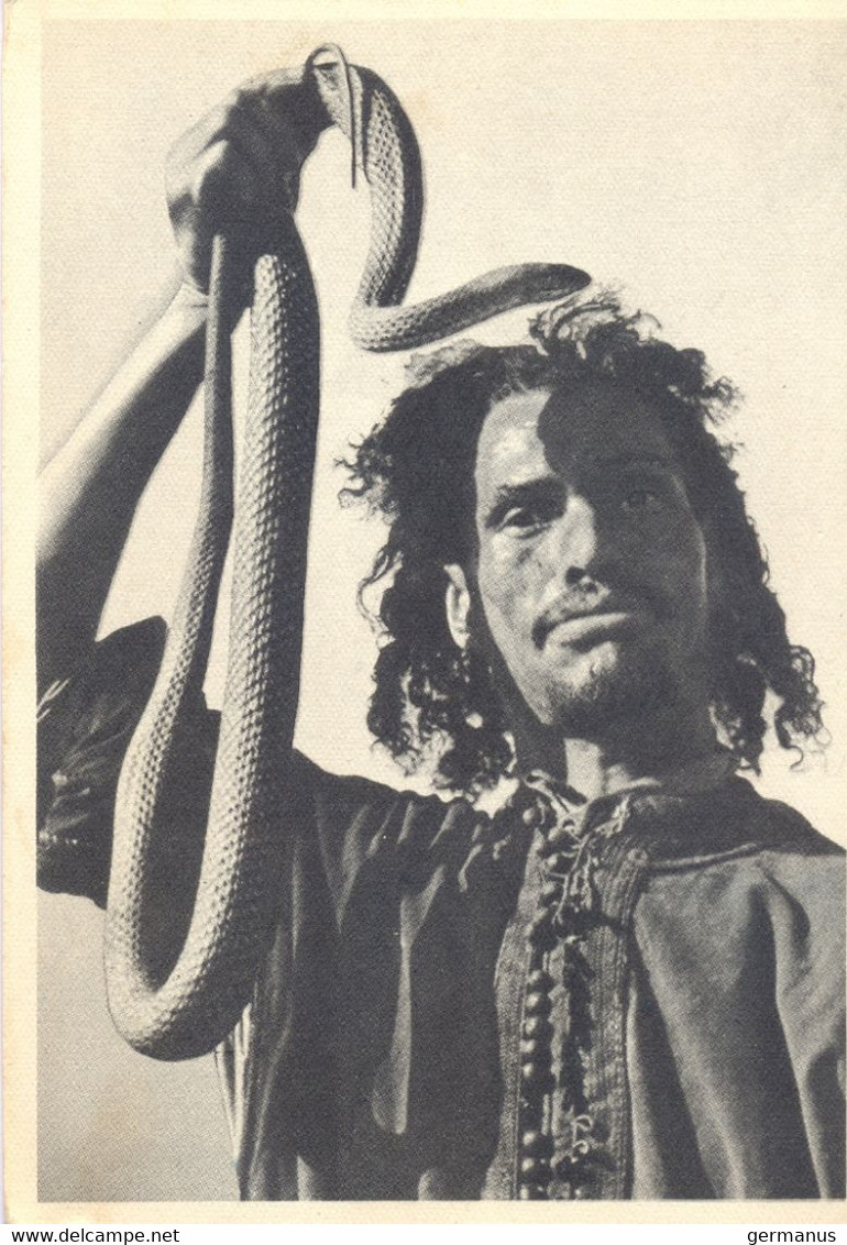 MAROC CARTE PUB IONYL Un Symbole, Ce Serpent Et Son Charmeur ! TàD TANGER-CHERIFIEN De 1949 - Covers & Documents