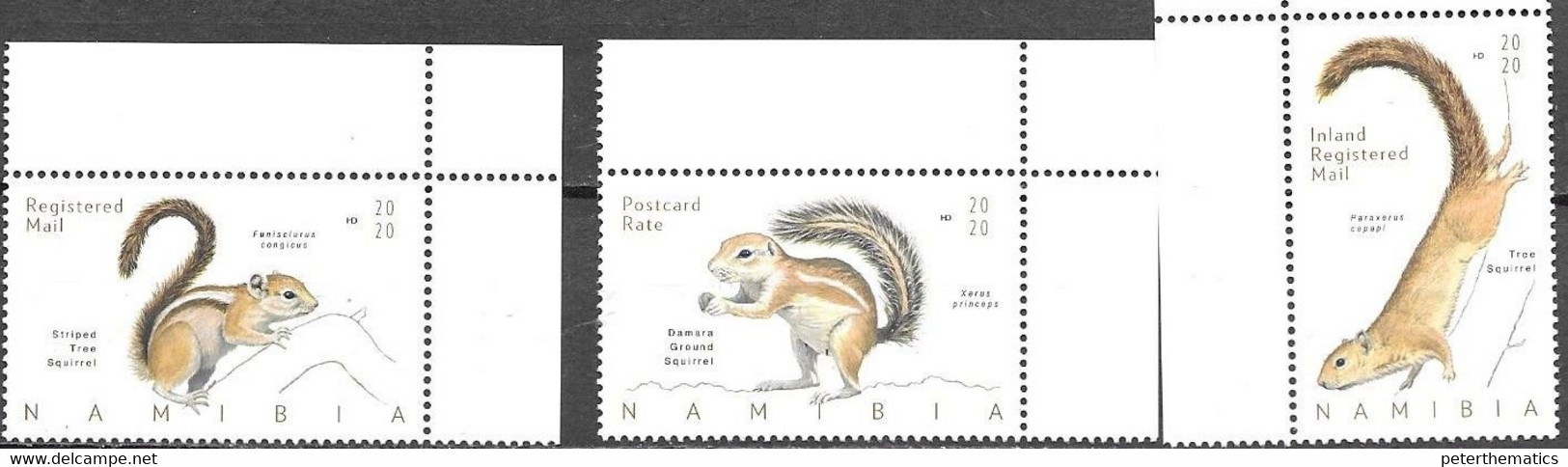 NAMIBIA, 2020, MNH, SQUIRRELS, 3v - Roditori