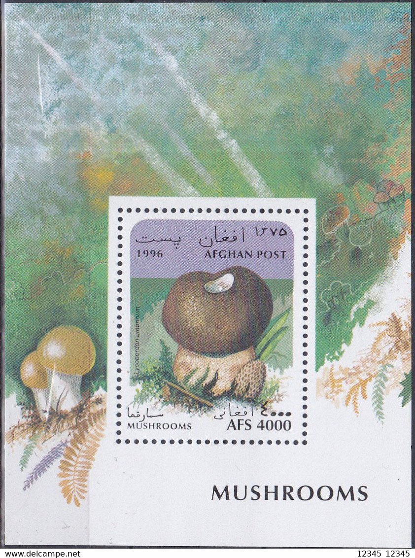 Afghanistan 1996, Postfris MNH, Mushrooms - Afghanistan