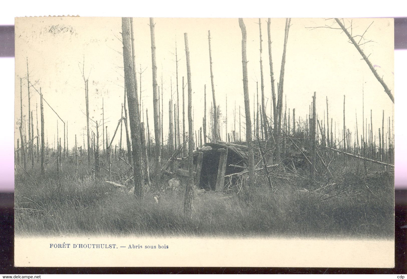 Cpa Forêt D'houthulst - Houthulst