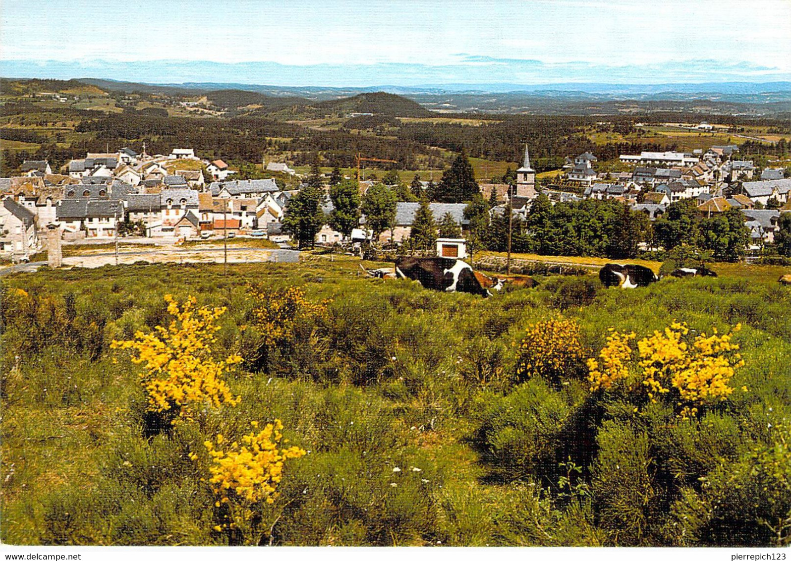 48 - Aumont Aubrac - Vue Générale Prise Du Sacré Coeur - Aumont Aubrac