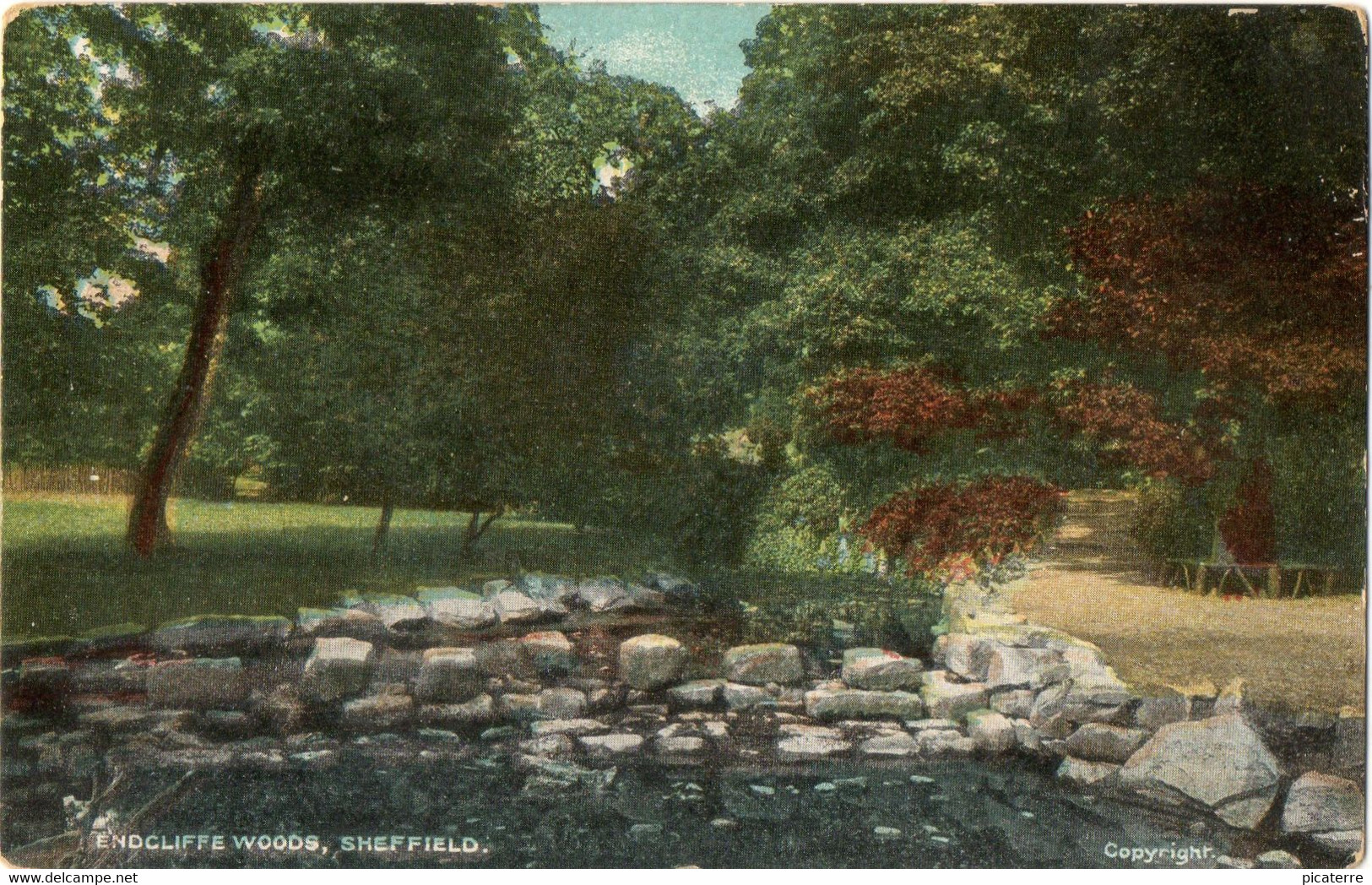 Endcliffe Woods,Sheffield 1907 - Sheffield