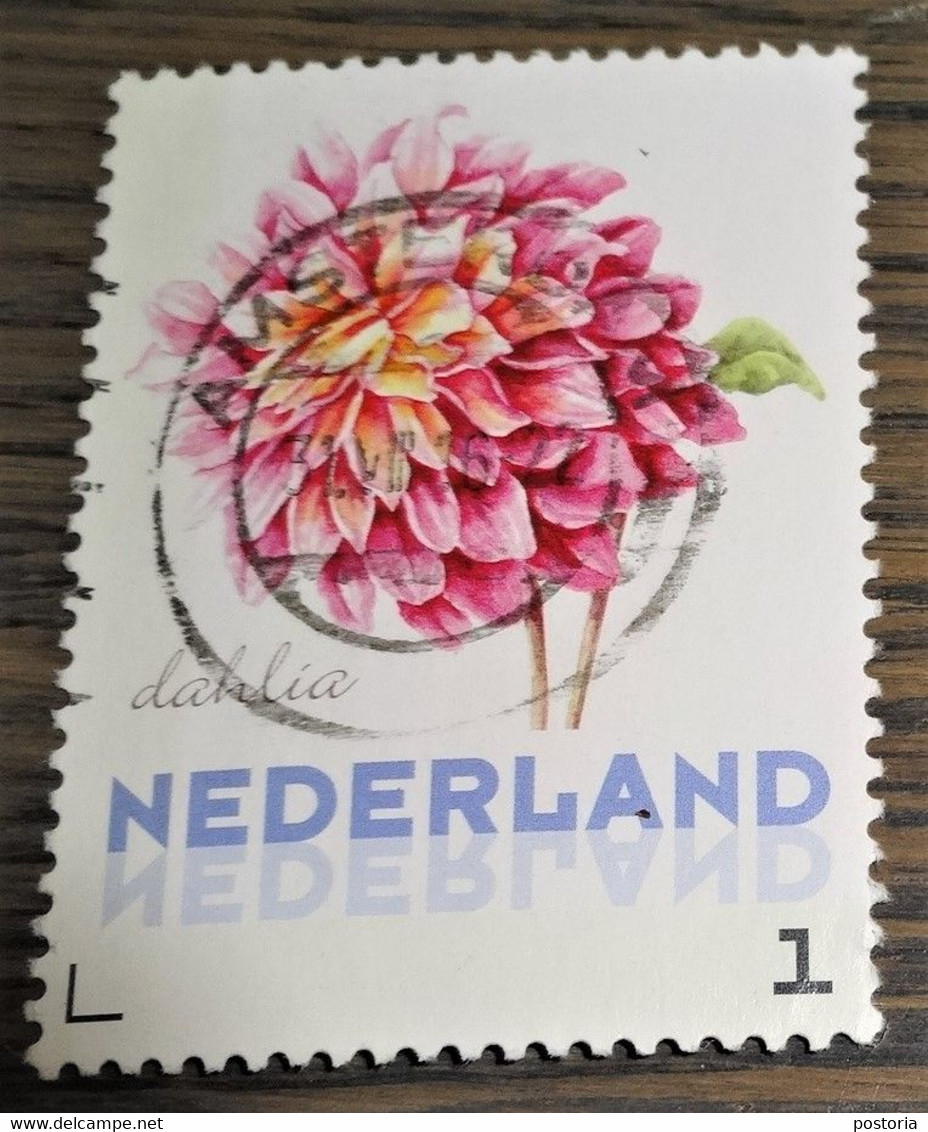 Nederland - NVPH - 3012-Ac5 1e Zegel - Persoonlijke Gebruikt - Bloemen Najaar - Dahlia - Sellos Privados