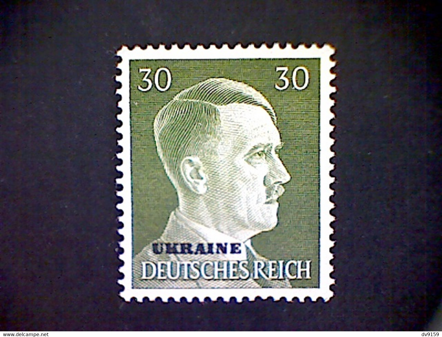 Russia, Scott #N56, Mint (*), 1941, Hitler Overprint Ukraine, 30pf, Olive Green - 1941-43 Deutsche Besatzung