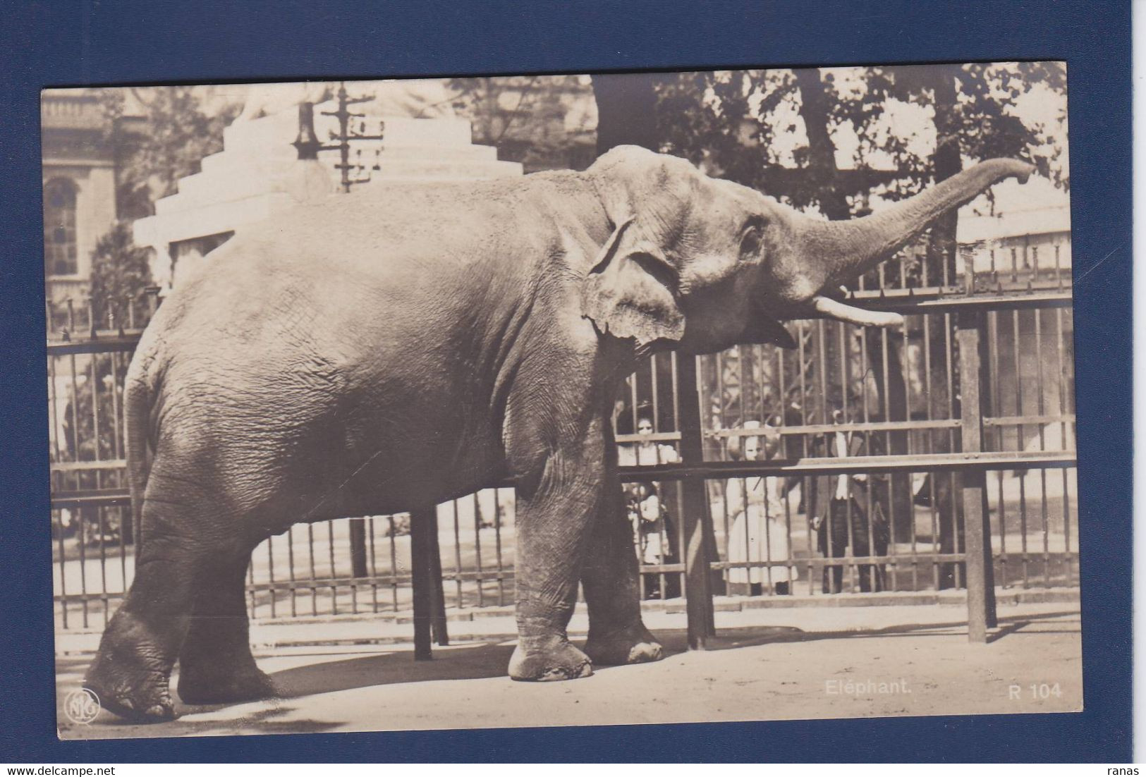 CPA éléphant Carte Photo Non Circulé - Elefanten
