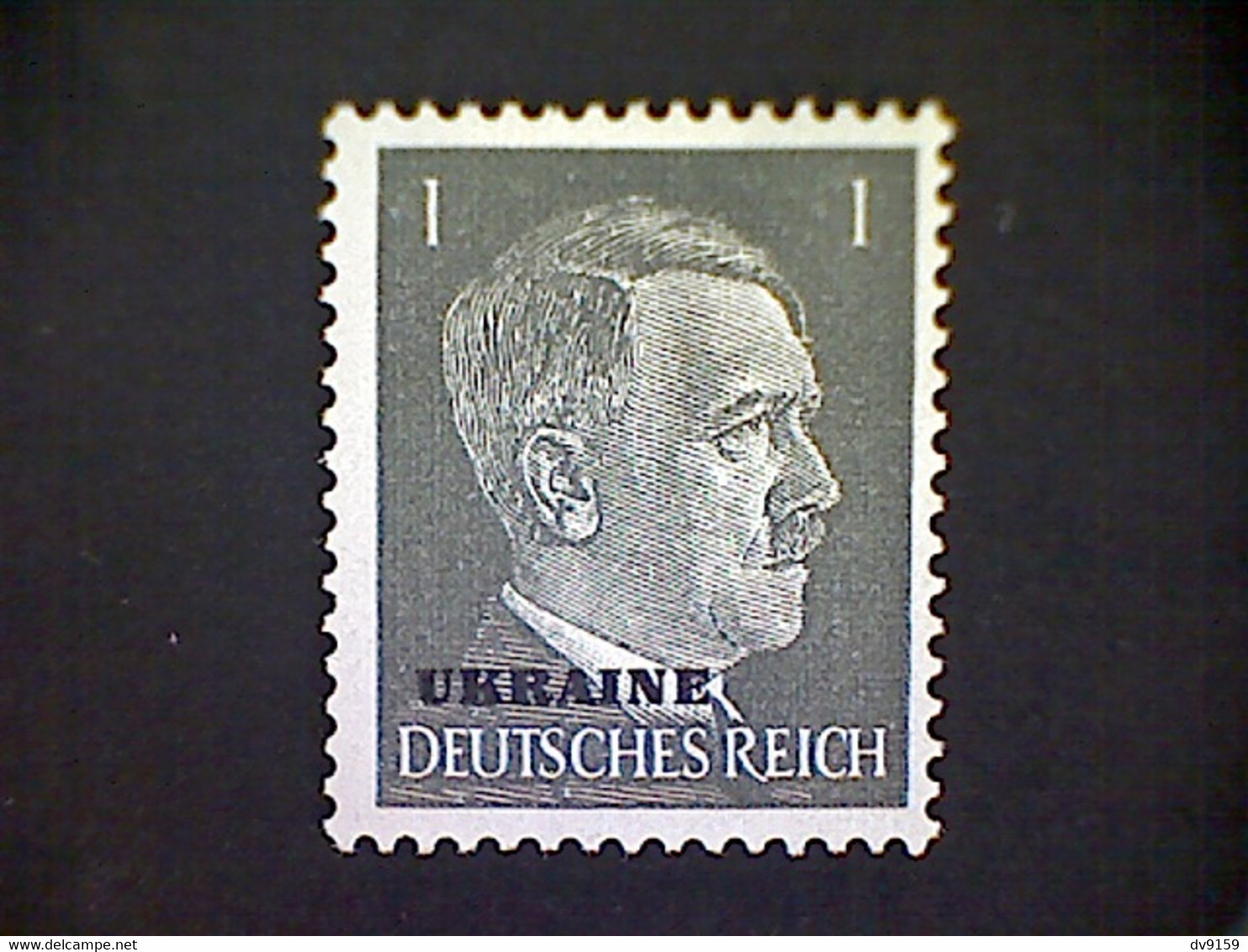 Russia, Scott #N41, Mint (*), 1941, Hitler Overprint Ukraine, 1pf, Gray Black - 1941-43 Deutsche Besatzung
