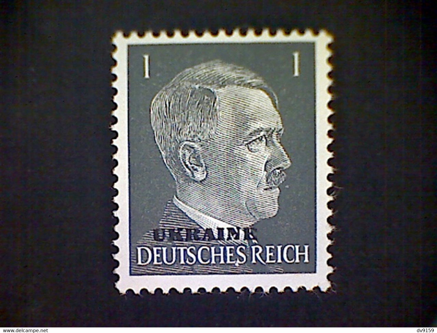 Russia, Scott #N41, Mint (*), 1941, Hitler Overprint Ukraine, 1pf, Gray Black - 1941-43 Deutsche Besatzung