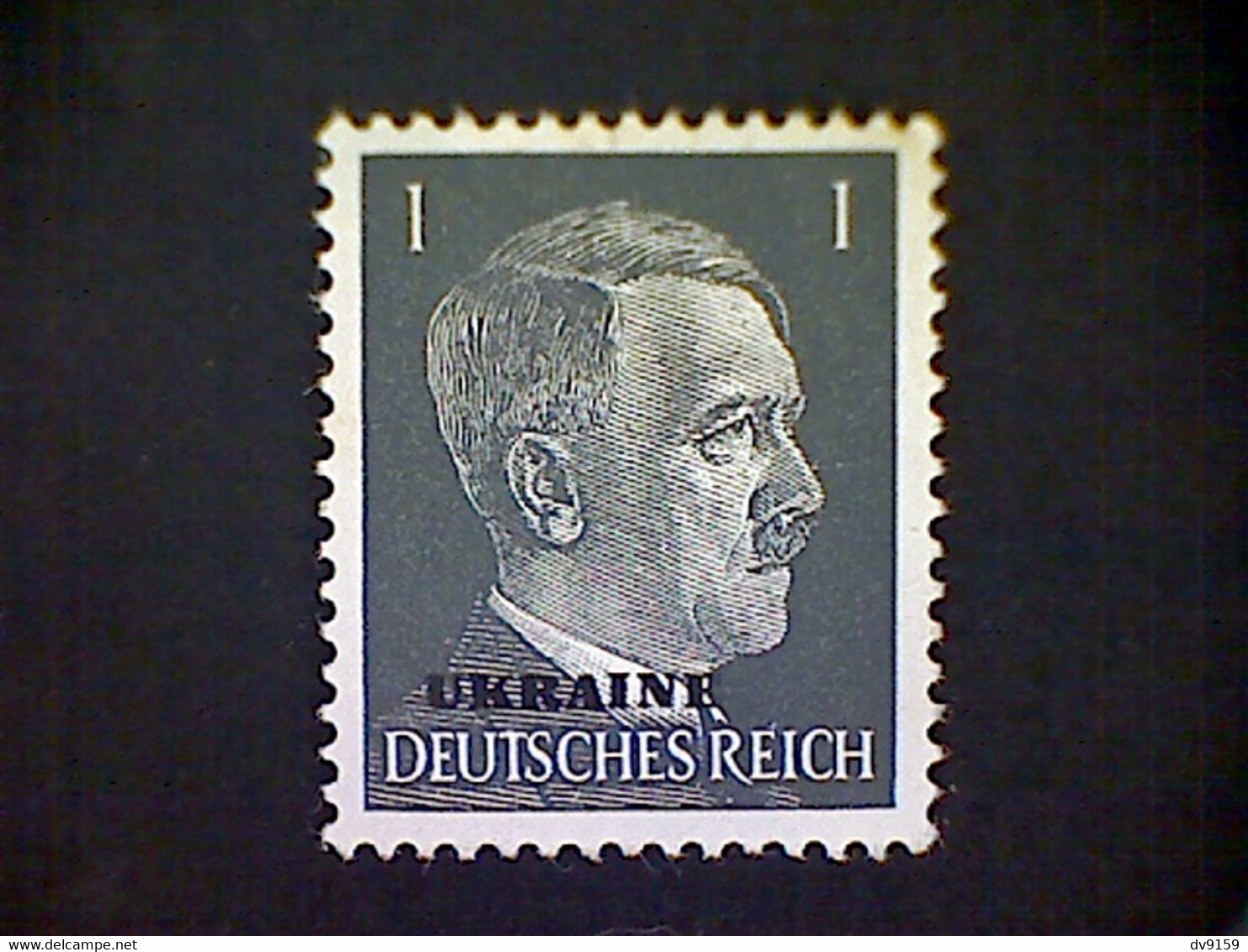 Russia, Scott #N41, Mint (*), 1941, Hitler Overprint Ukraine, 1pf, Gray Black - 1941-43 Deutsche Besatzung