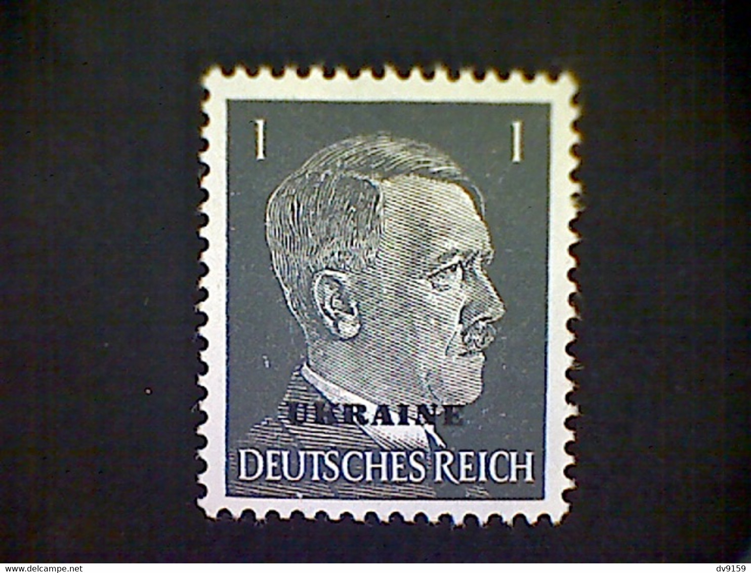 Russia, Scott #N41, Mint (*), 1941, Hitler Overprint Ukraine, 1pf, Gray Black - 1941-43 Occupation Allemande