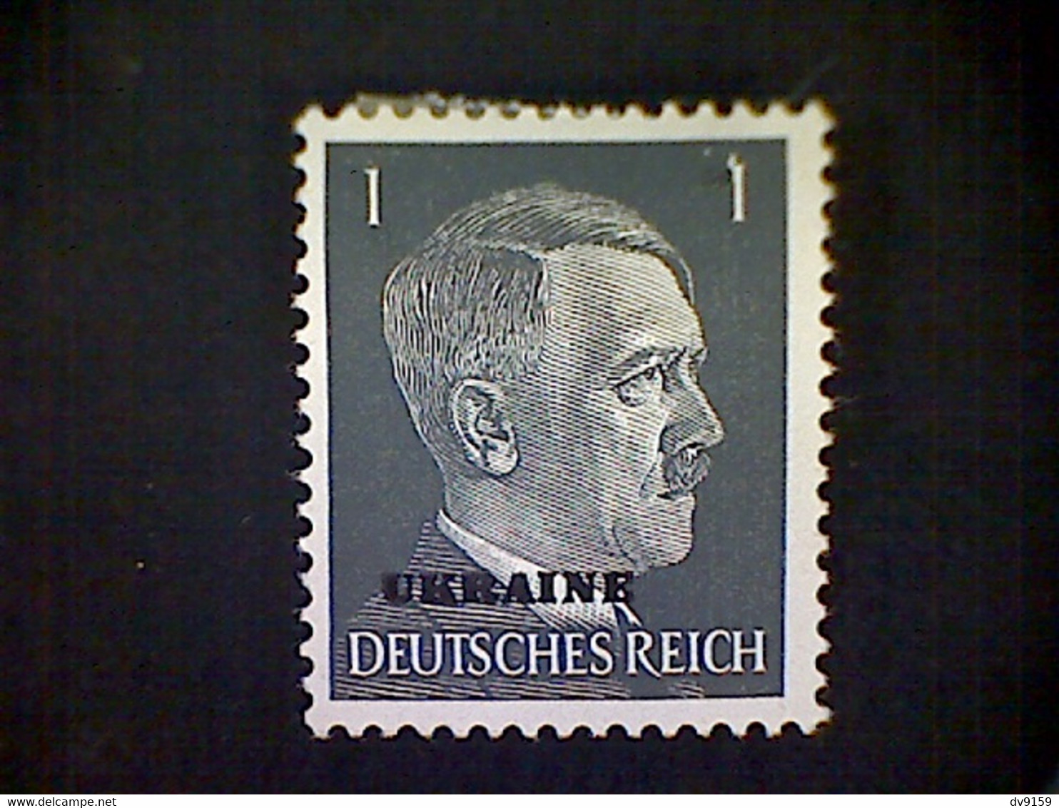 Russia, Scott #N41, Mint (*), 1941, Hitler Overprint Ukraine, 1pf, Gray Black - 1941-43 Deutsche Besatzung