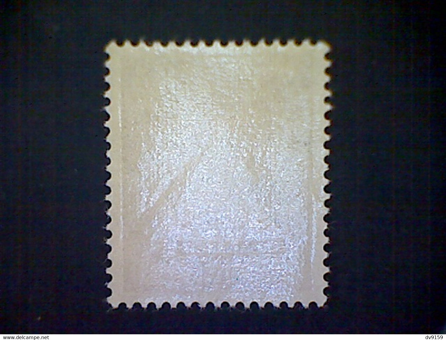 Russia, Scott #N42, Mint (*), 1941, Hitler Overprint Ukraine, 3pf, Light Brown - 1941-43 Occupation Allemande