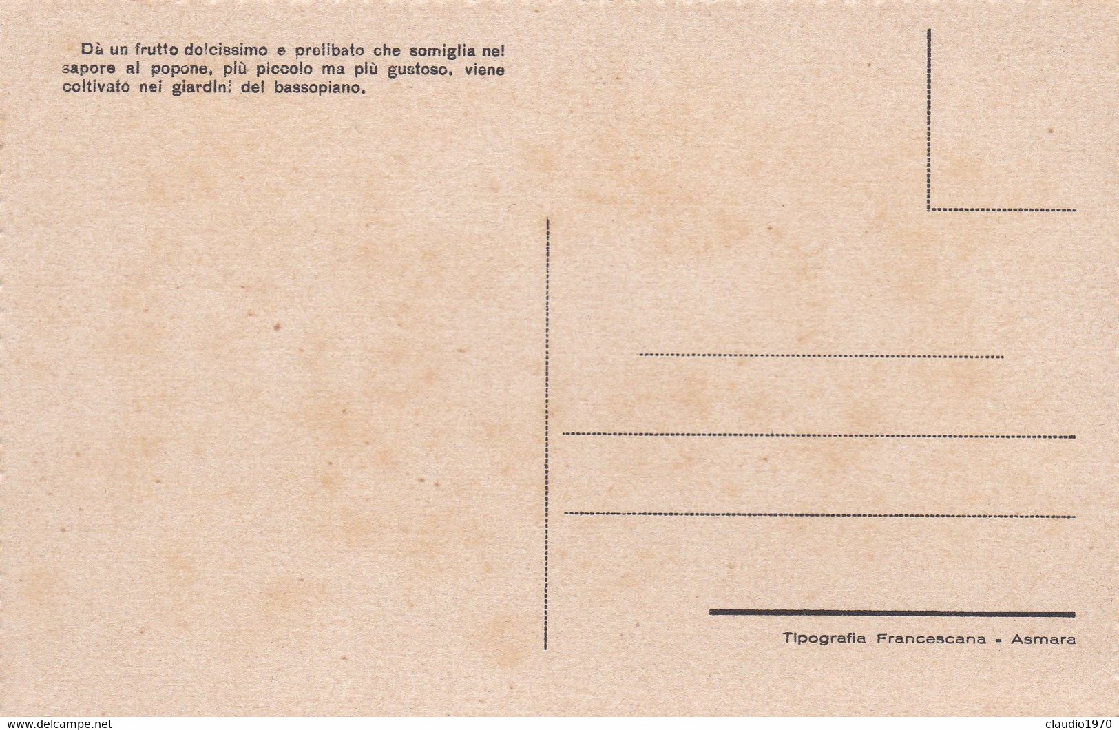 ERITREA - CARTOLINA - PAPAIA - Eritrea