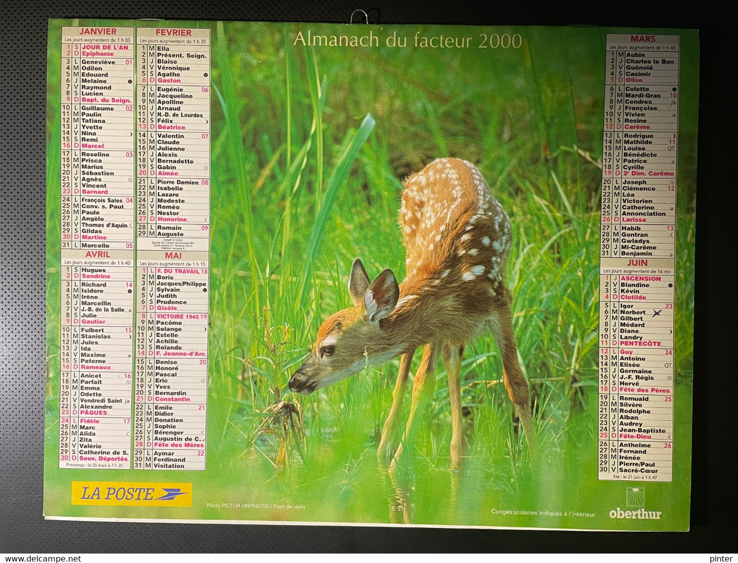 CALENDRIER - ALMANACH Du FACTEUR 2000 - SEINE ET MARNE - FAON  Et ECUREUIL - Grand Format : 1991-00