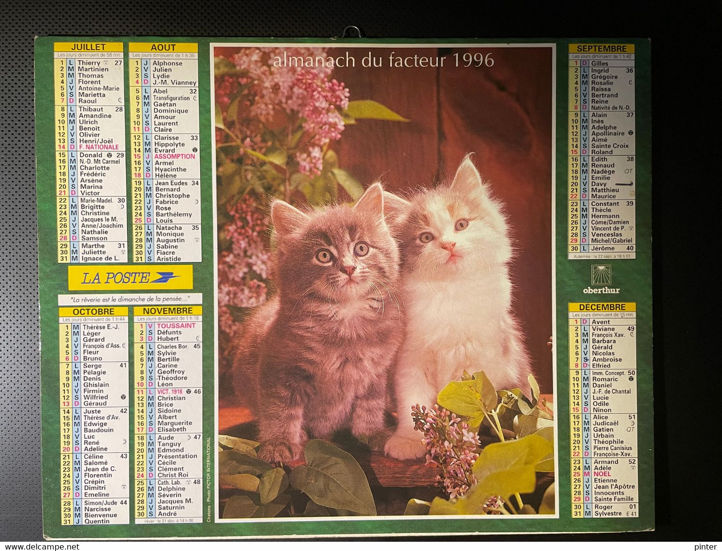 CALENDRIER - ALMANACH Du FACTEUR 1996  - SEINE ET MARNE - CHIENS Et CHATS - Grand Format : 1991-00