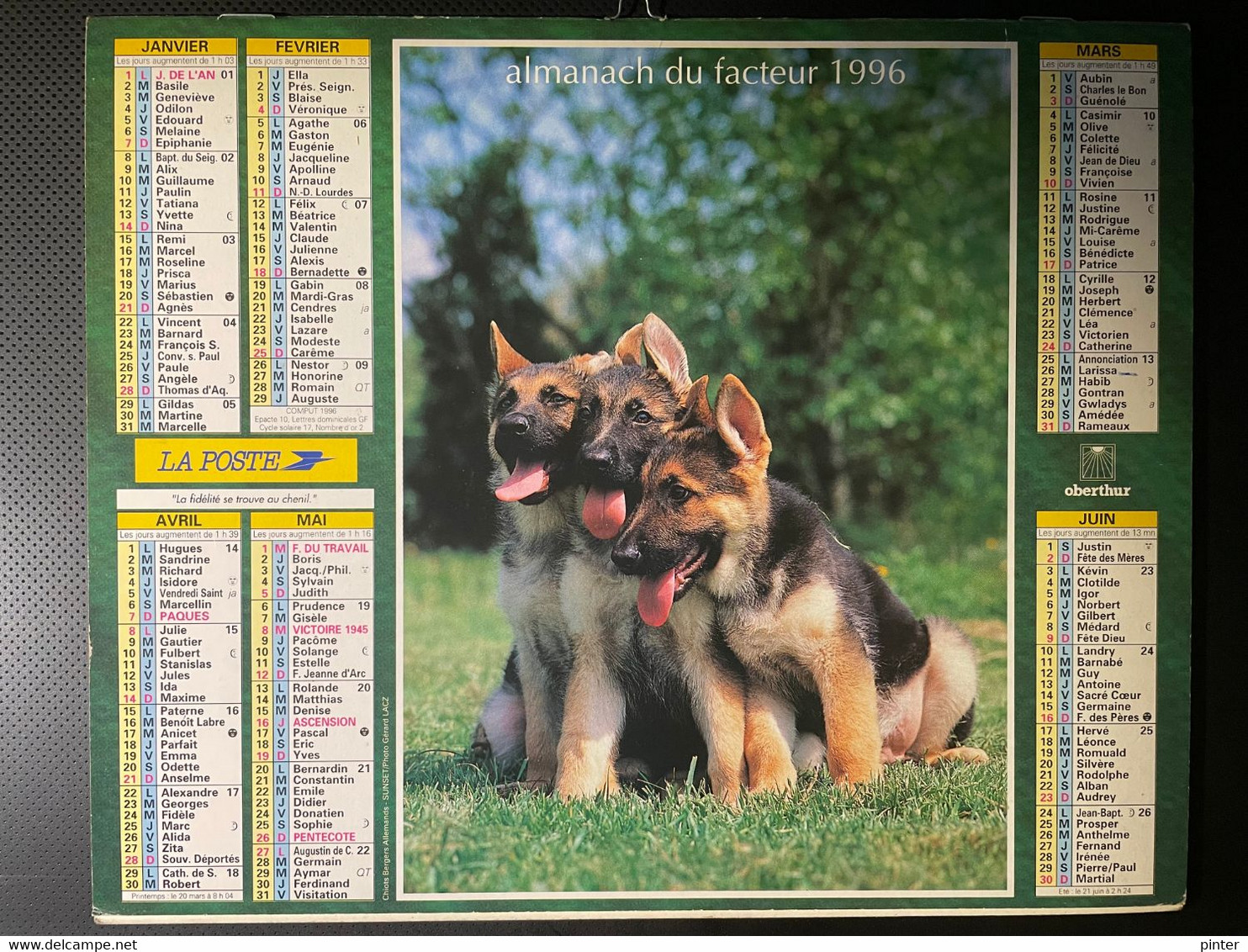 CALENDRIER - ALMANACH Du FACTEUR 1996  - SEINE ET MARNE - CHIENS Et CHATS - Grand Format : 1991-00