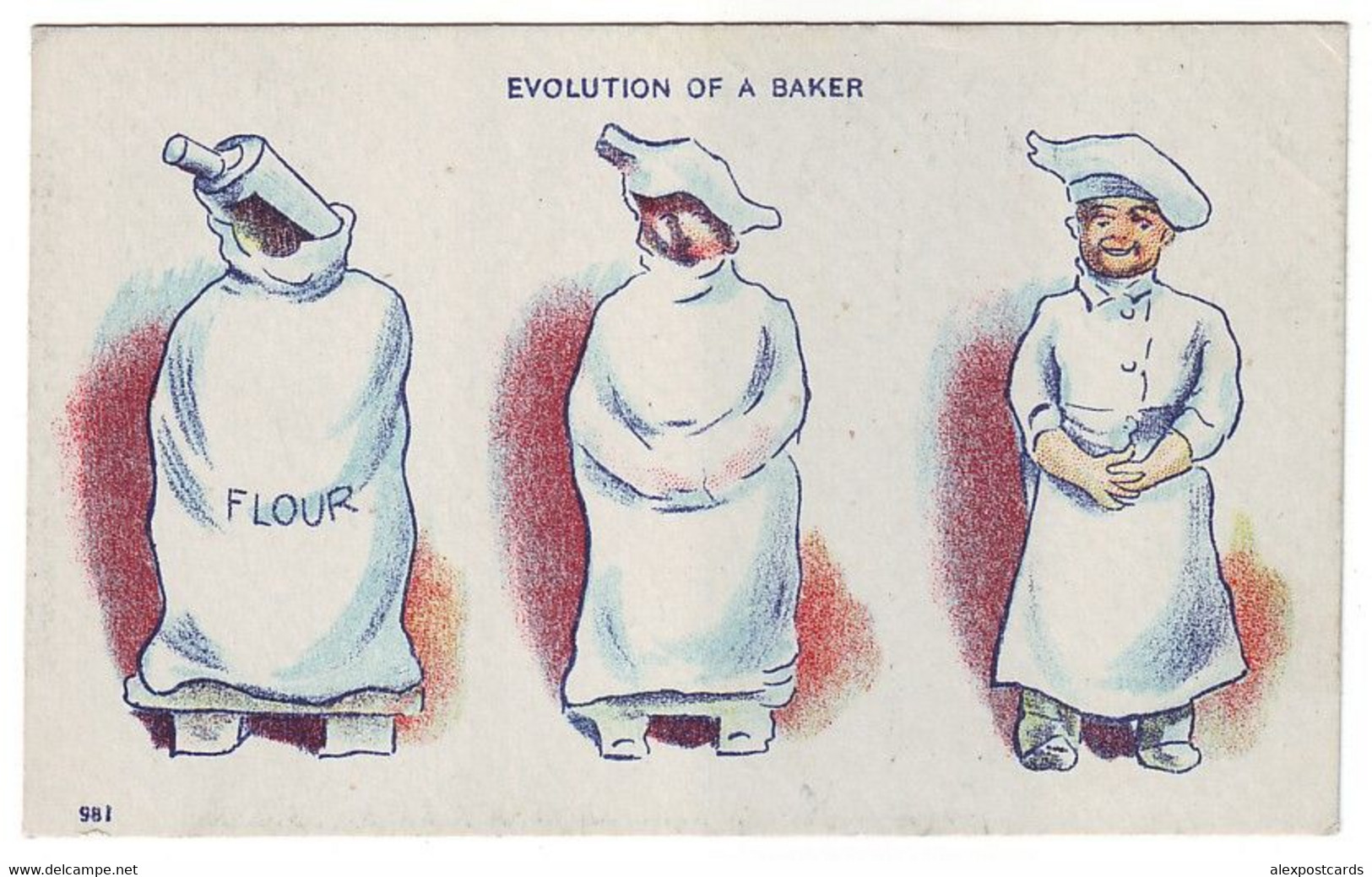 EVOLUTION OF A BAKER. Postally Used - USA, 1908 - Humour