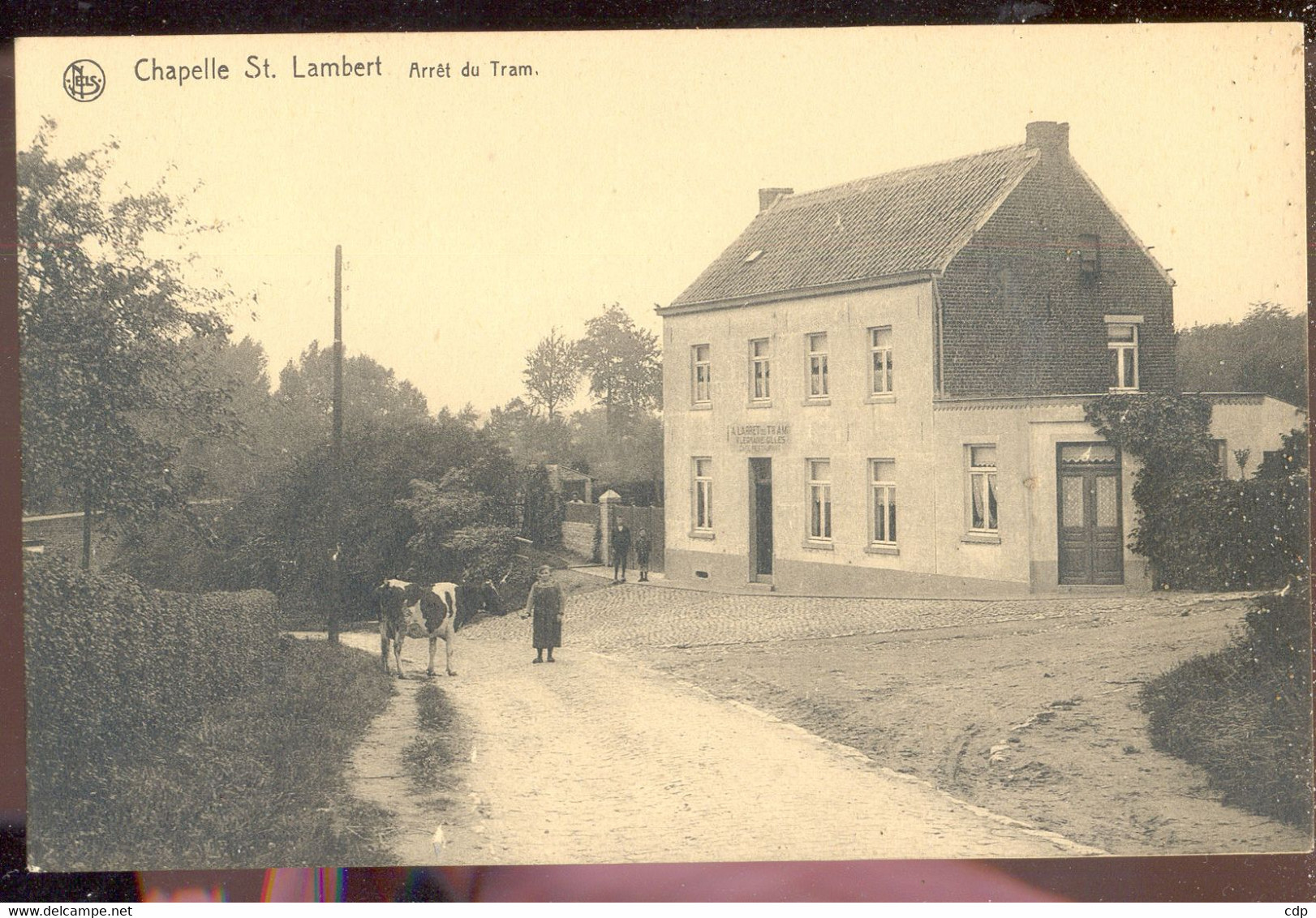 Cpa Chapelle Saint Lambert   Vache - Lasne