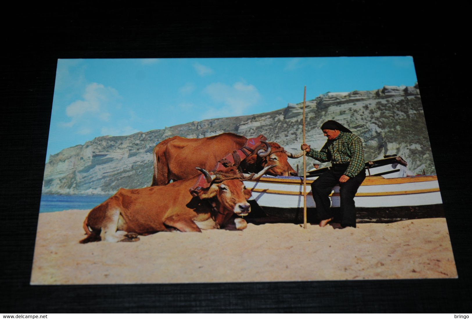 31525-                   PORTUGAL,  NAZARÉ, FOLCLORE / ESPERANDO O REGRESSO DOS BARCOS - Bull