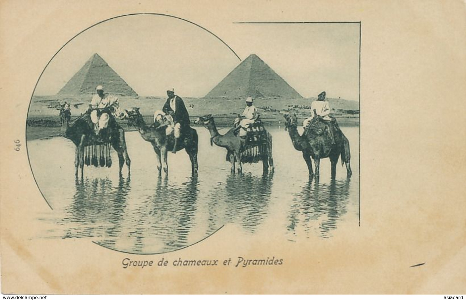 Cairo Groupe Chameaux Pyramides   Camel Dromadaire Undivided Back - Pyramides