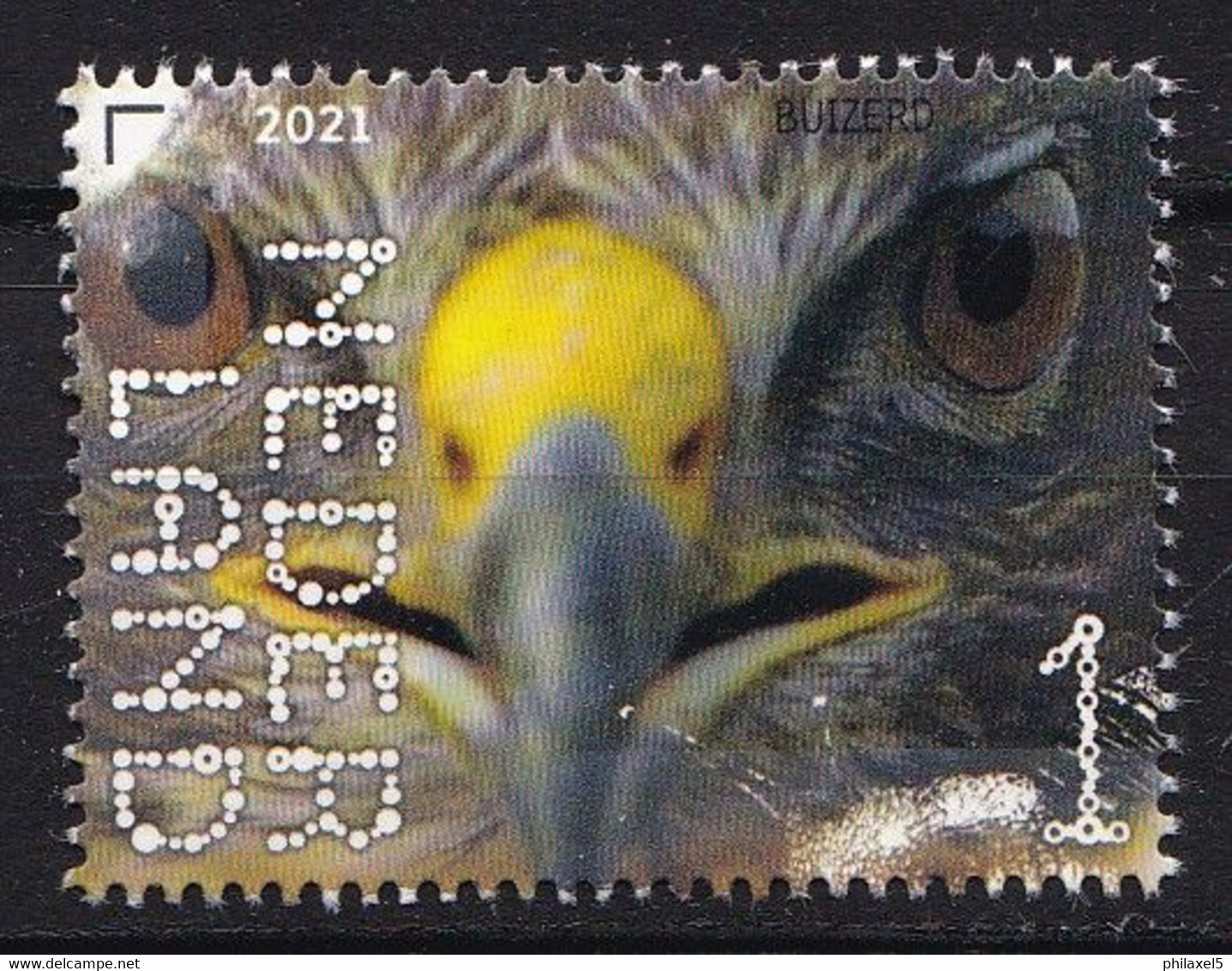 Nederland - Beleef De Natuur - 16 Augustus 2021 - Landgoed Haarzuilens - Buizerd - Buteo Buteo - MNH - Aigles & Rapaces Diurnes