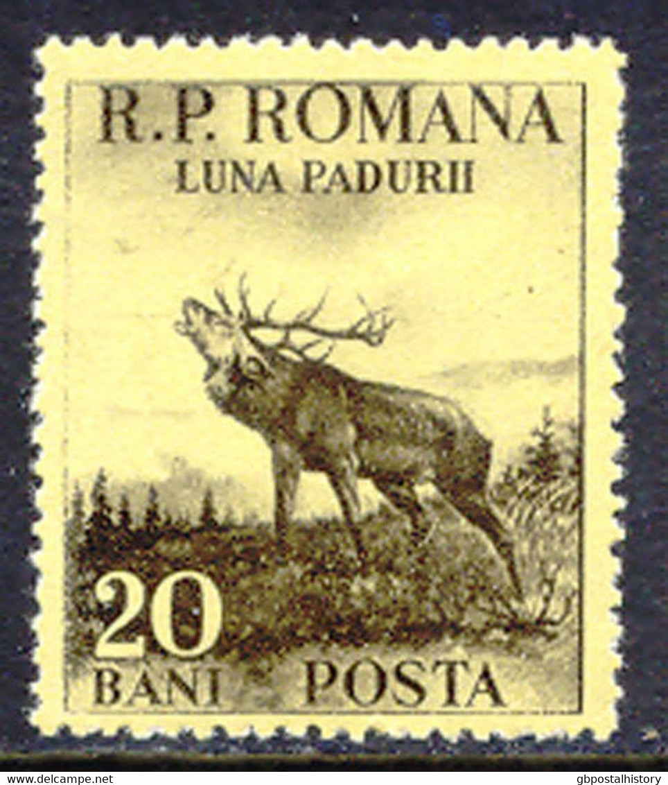 RUMÄNIEN 1954 Monat Des Waldes Röhrender Hirsch 20B Lilaschwarz Auf Gelb ABART** - Abarten Und Kuriositäten