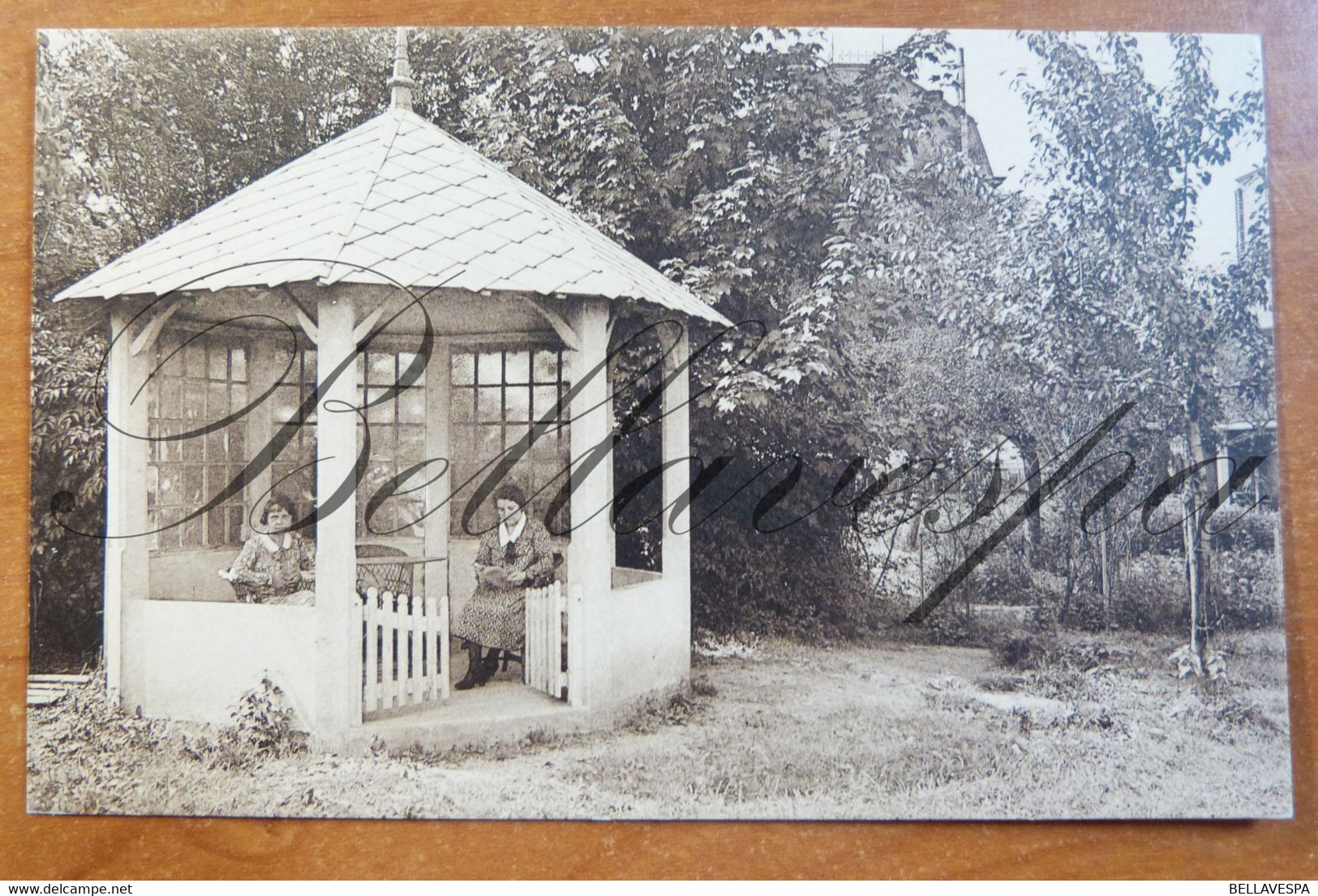 Visé. Clinique Sainte Augustin. Coin Du Jardin. - Visé