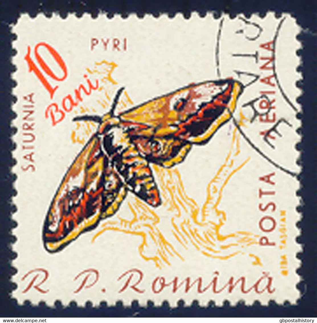 RUMÄNIEN 1960 Schmetterlinge 10B Großes Nachtpfauenauge, Gest. Kab.-Stück, ABART - Variétés Et Curiosités