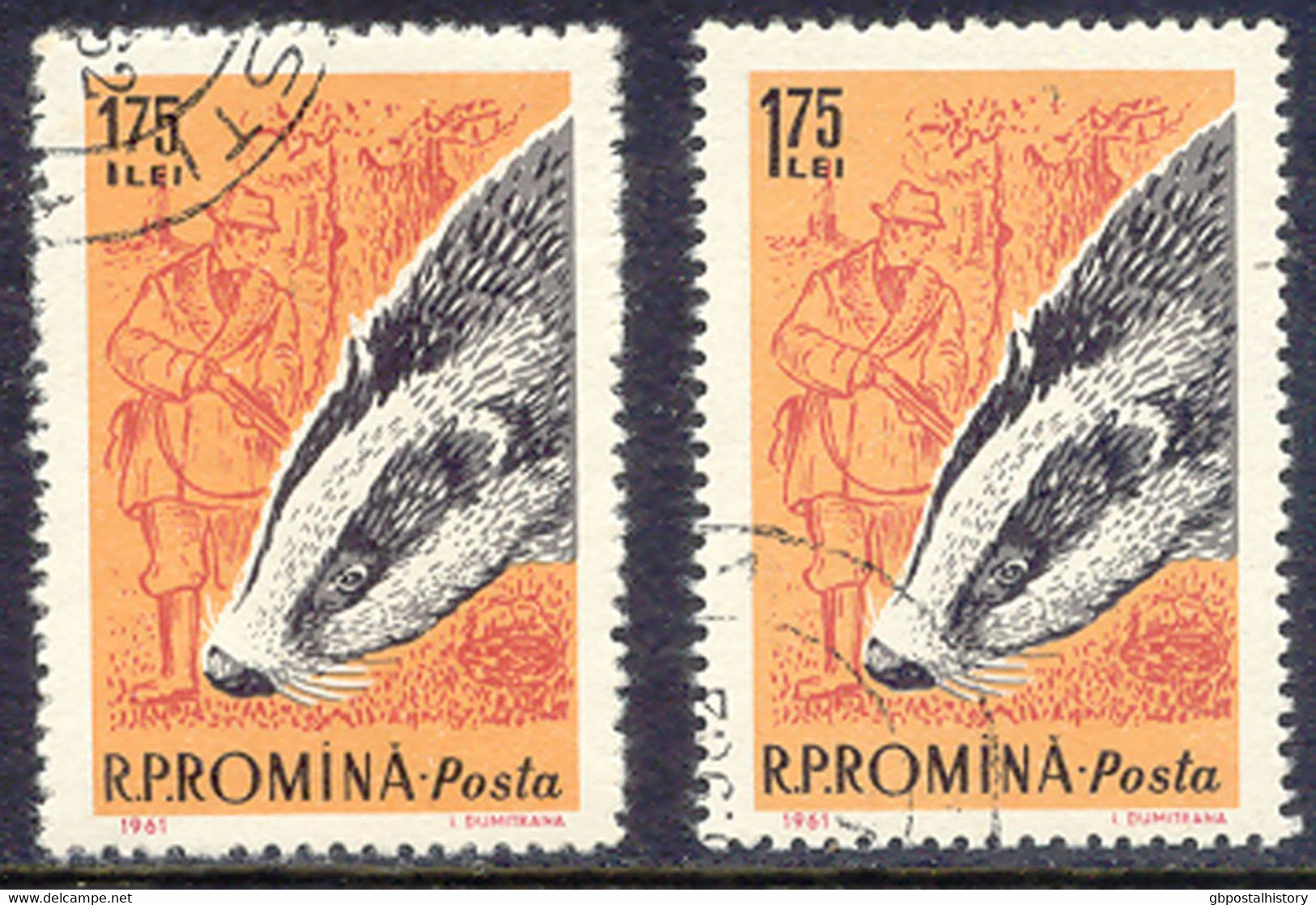 RUMÄNIEN 1961 Jagdbare Tiere 1,75L Dachs Gest. Kab.-Stück, ABART: Plattenfehler - Plaatfouten En Curiosa