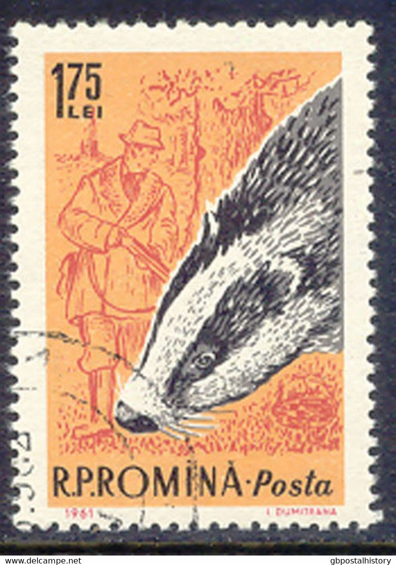 RUMÄNIEN 1961 Jagdbare Tiere 1,75L Dachs Gest. Kab.-Stück, ABART: Plattenfehler - Variétés Et Curiosités