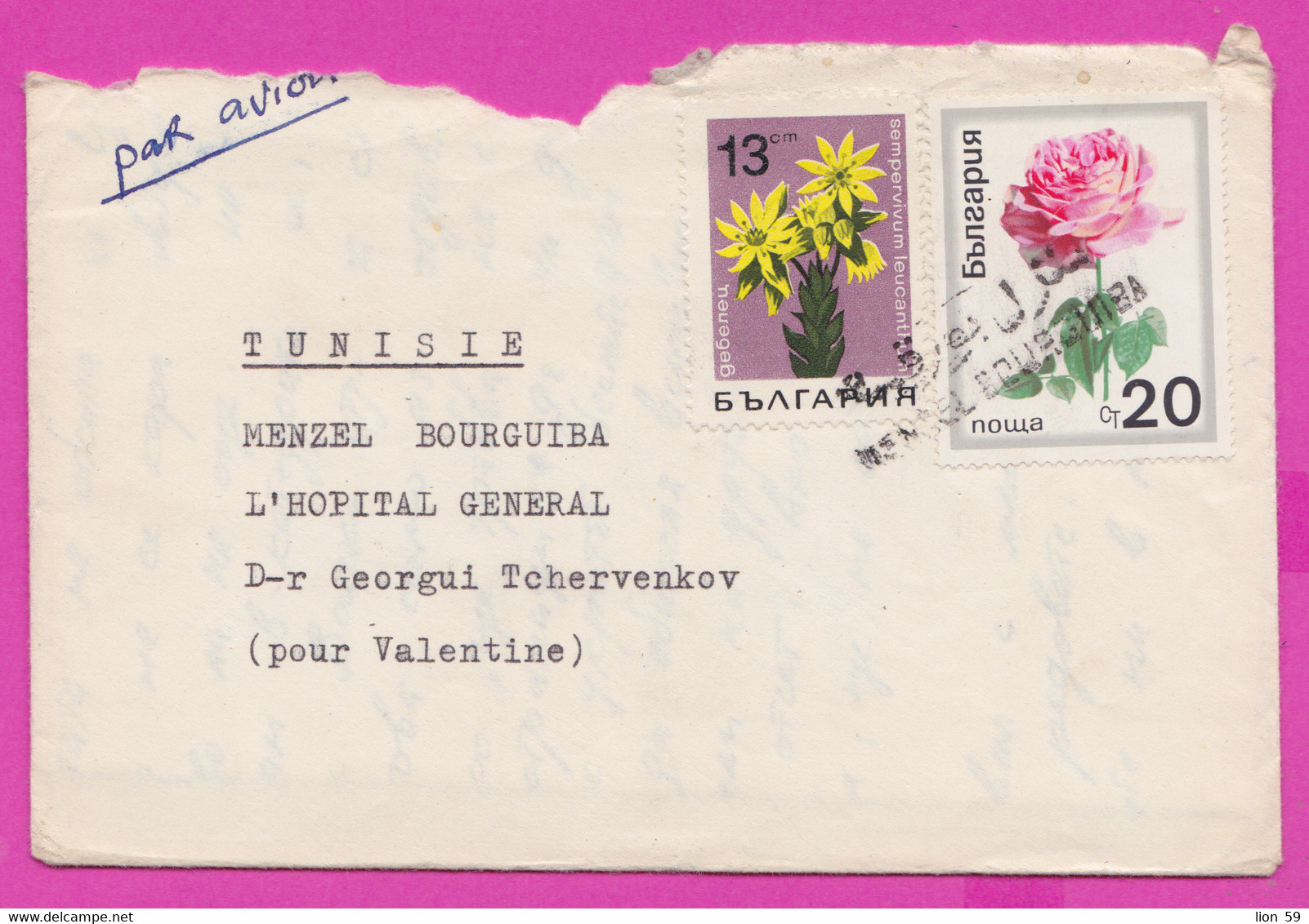 266204 / Cover Bulgaria 1972 - 13+20 St. Flowers Rose Sempervivum , Destroyed With Seal Of Menzel Bourguiba Tunisie - Briefe U. Dokumente