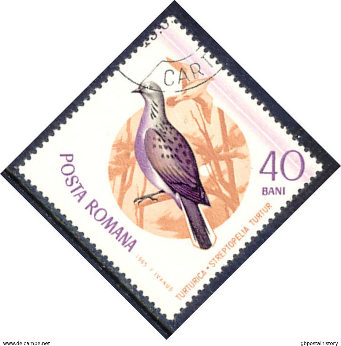 RUMÄNIEN 1965 Vögel - 40 B. Turteltaube Gest. Kab.-Stück, ABART: Mit Druck Eines Violetten Randes Durch Und Oberhalb Des - Variétés Et Curiosités