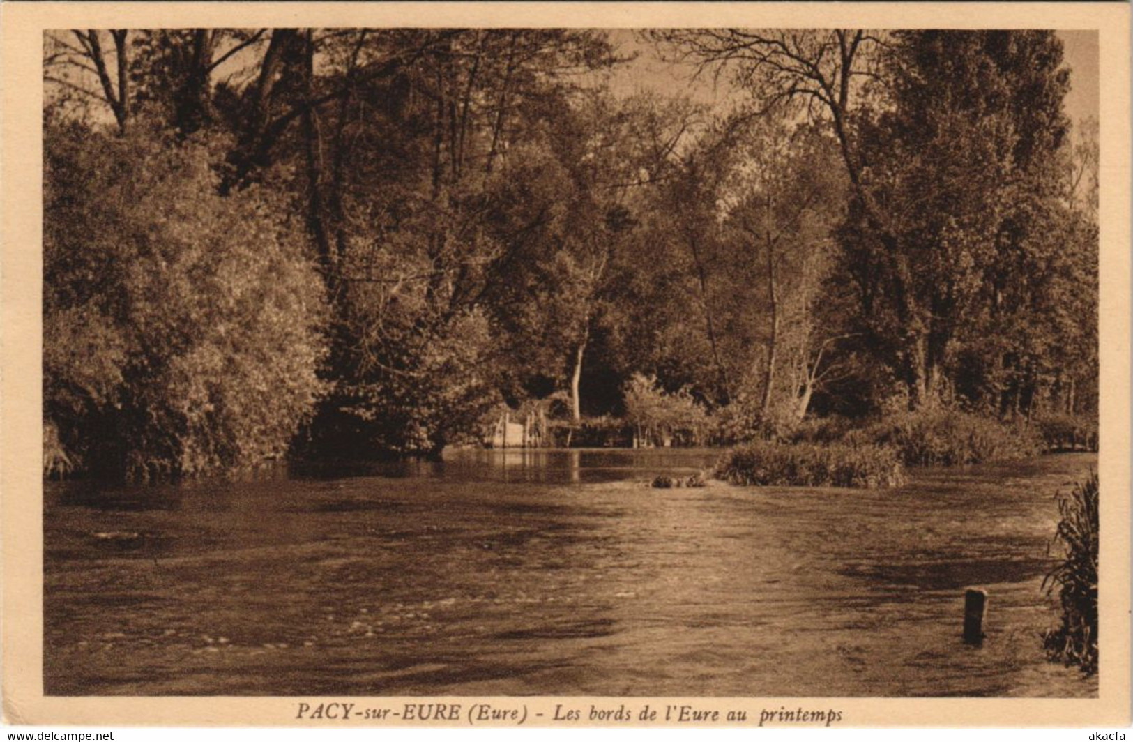 CPA PACY-sur-EURE Les Bords De L'Eure Au Printemps (1148386) - Pacy-sur-Eure