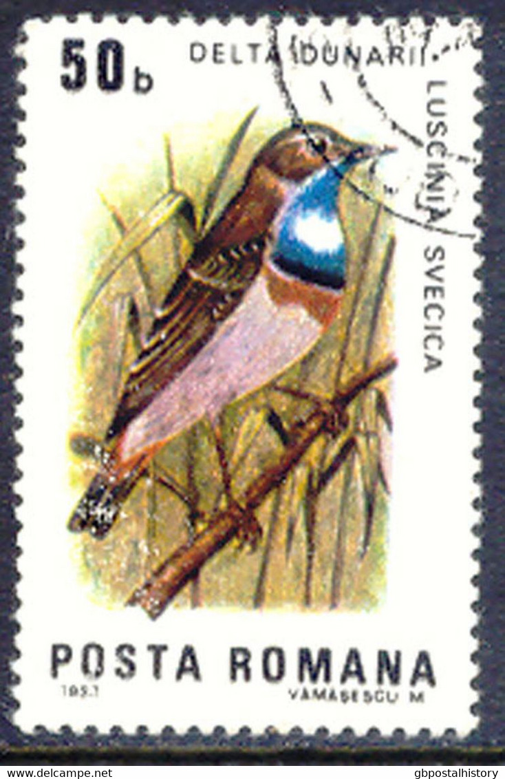 RUMÄNIEN 1983 Vögel Des Donaudeltas 50B Weißsterniges Blaukehlchen Gest. ABART - Variedades Y Curiosidades