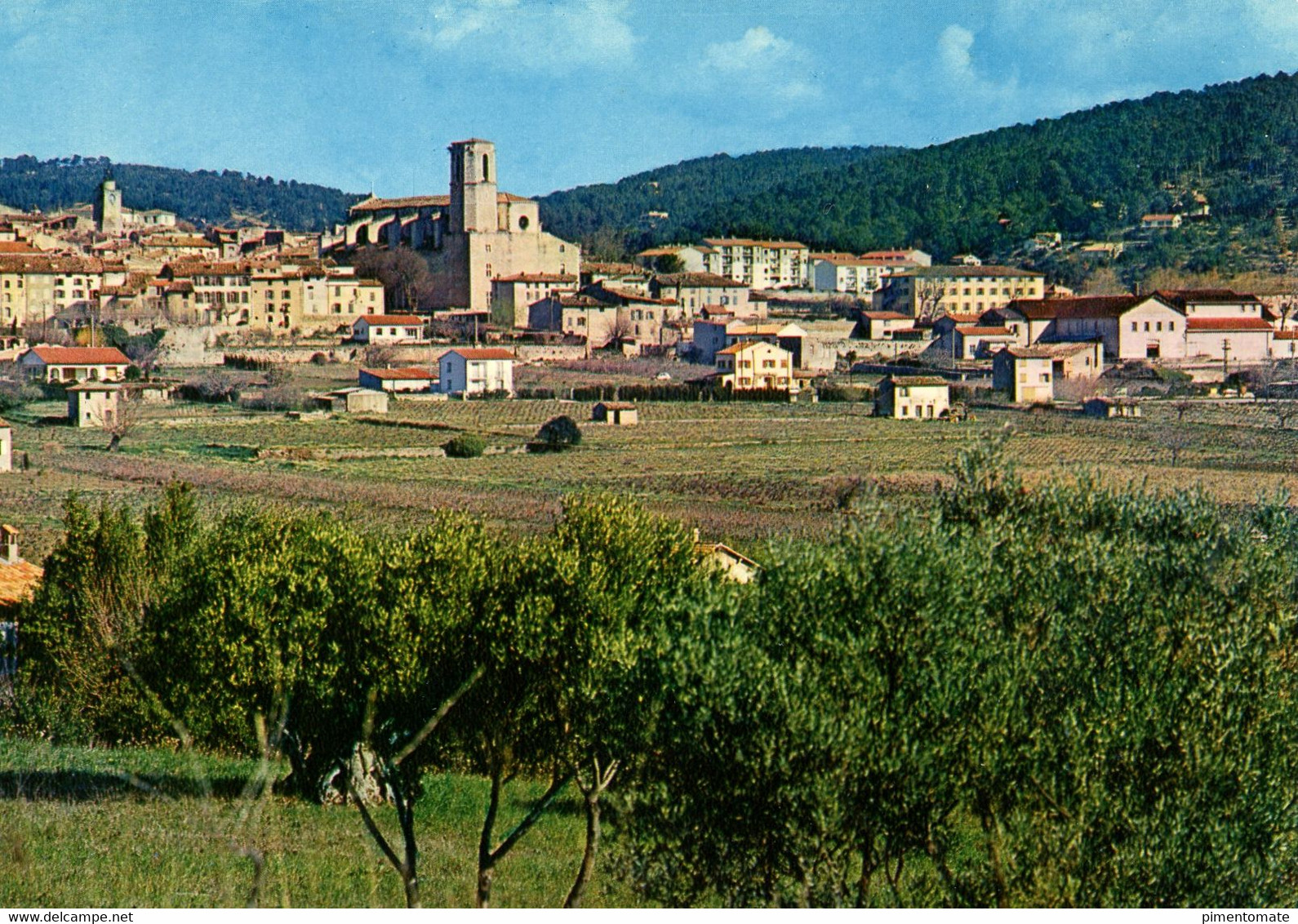 LORGUES VUE GENERALE 1982 - Lorgues