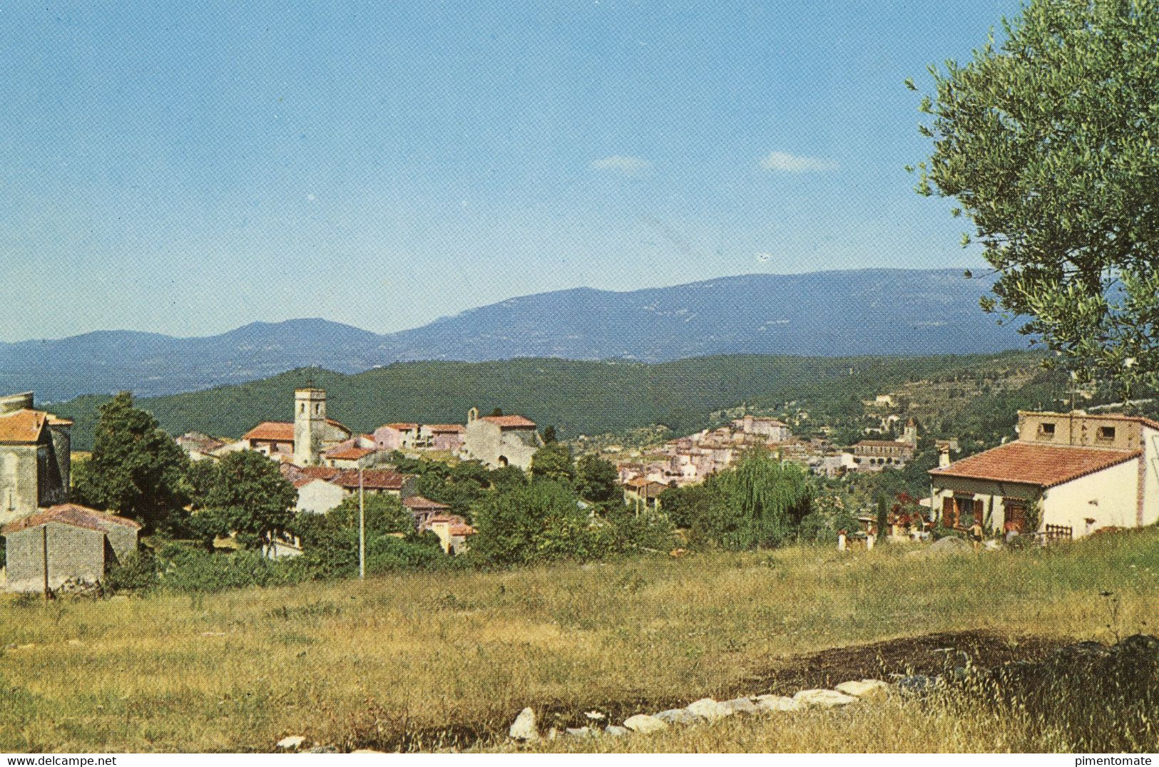 MONTAUROUX VUE GENERALE 1972 - Montauroux