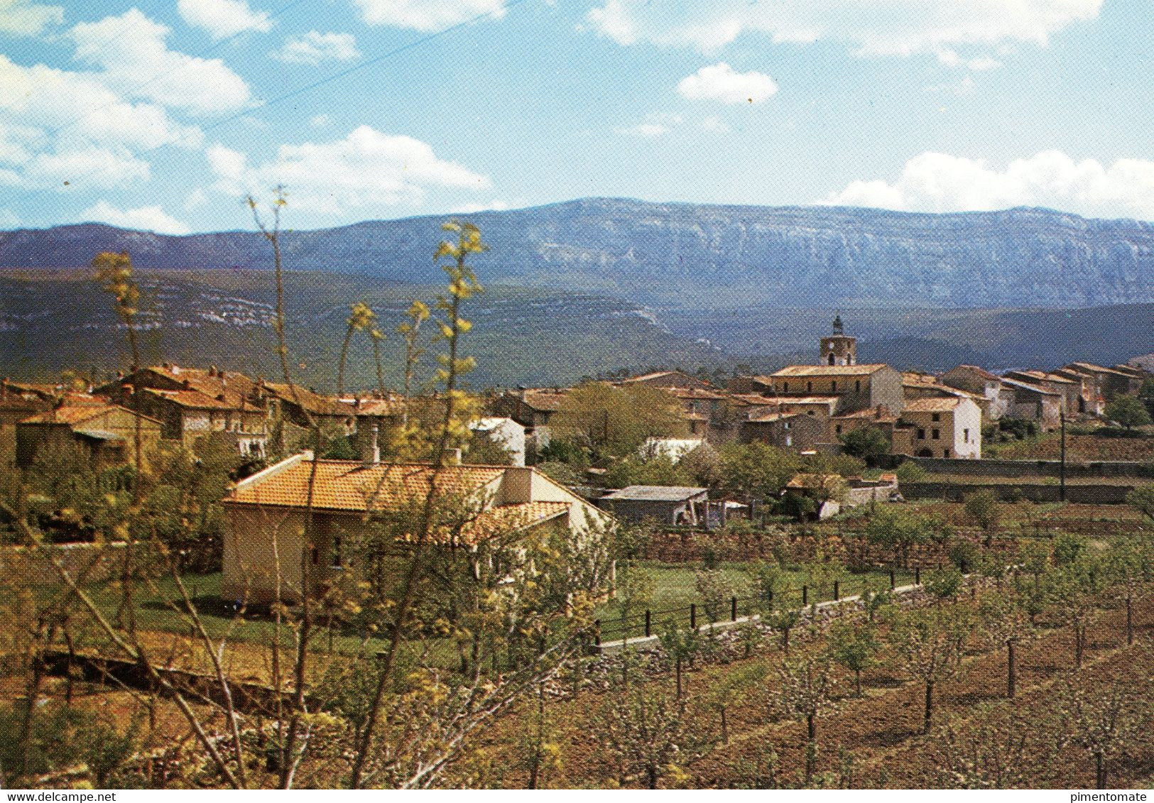 NANS LES PINS VUE GENERALE DANS LE FOND LE MASSIF DE LA SAINTE BAUME - Nans-les-Pins