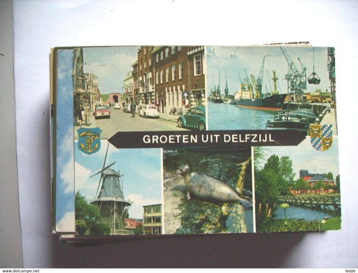 Nederland Holland Pays Bas Delfzijl Met Zeehondje, Molen En Schepen - Delfzijl