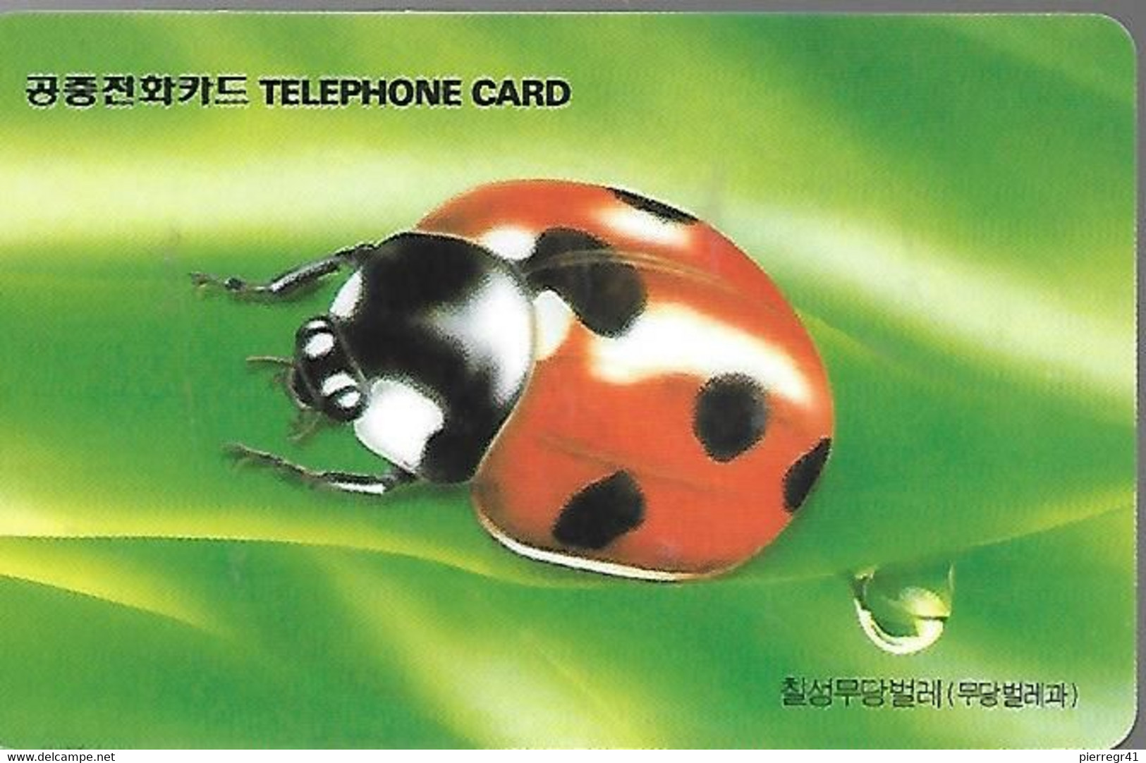 CARTE-MAGNETIQUE-COREE-COCCINELLE-TB E- - Other & Unclassified