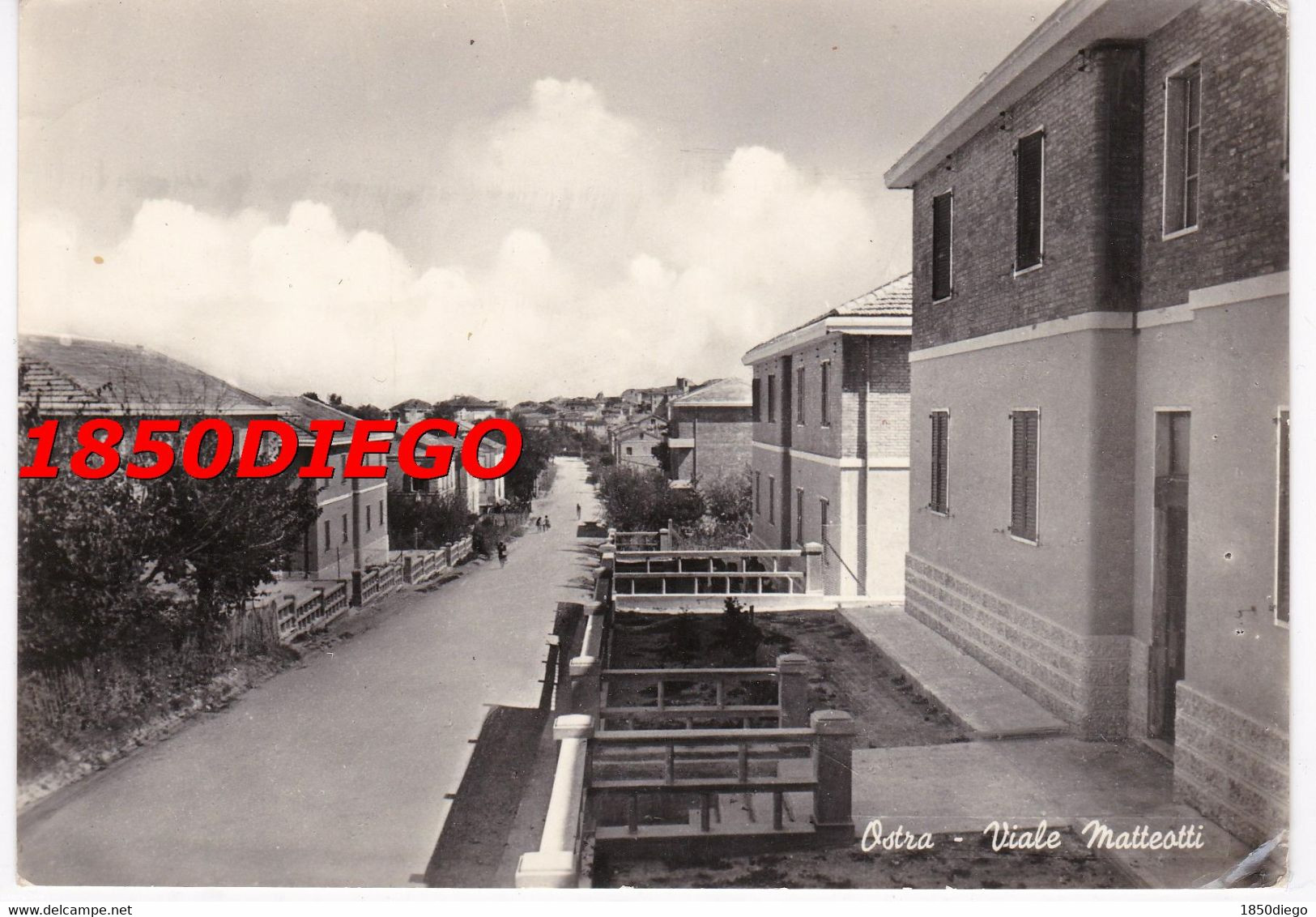 OSTRA - VIALE MATTEOTTI F/GRANDE VIAGGIATA  1957 ANIMATA - Ancona