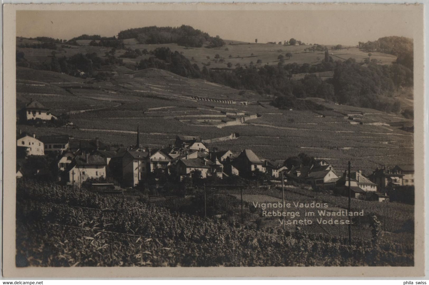 Vignoble Vaudois - Rebberge Im Waadtland Vigneto Vodese - Landwirtschaftliche Ausstellung In Bern 1925 - Le Vaud