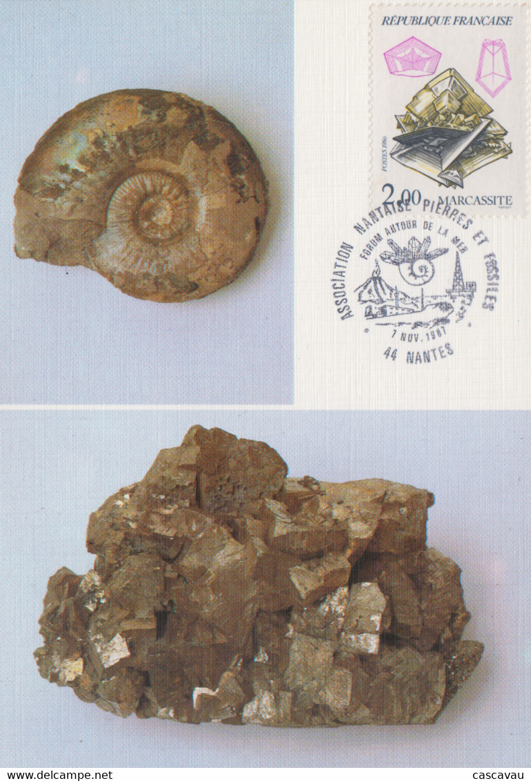 Carte   FRANCE  Association  Nantaise  Pierres Et  Fossiles   NANTES    1987 - Minerals