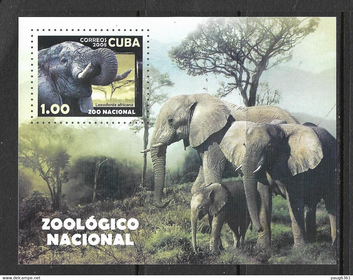CUBA  2008 BLOC ELEPHANTS YVERT N°242  NEUF MNH** - Altri & Non Classificati
