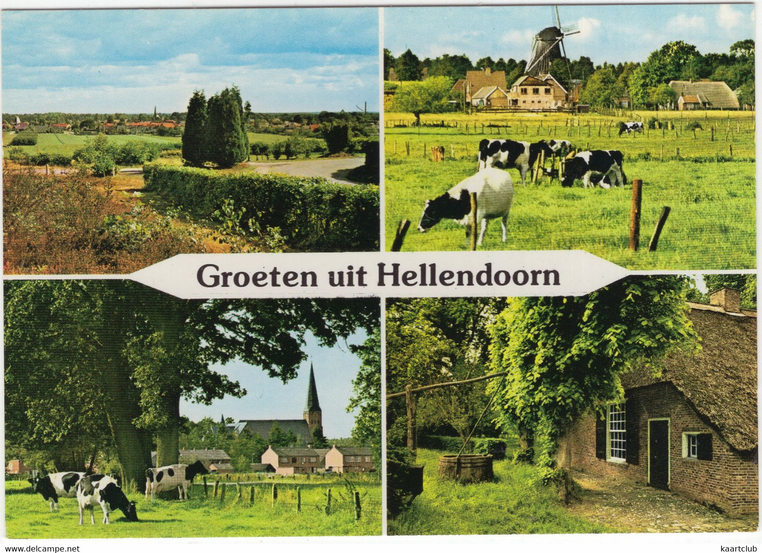 Groeten Uit Hellendoorn - O.a. Koeien, Molen -  (Overijssel - Nederland) - Nr. L 3185 - Hellendoorn