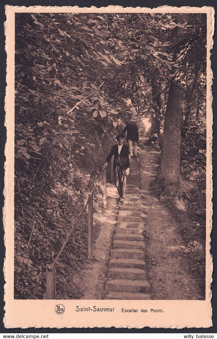 +++ CPA - SAINT SAUVEUR - Escalier Des Monts - Nels  // - Frasnes-lez-Anvaing