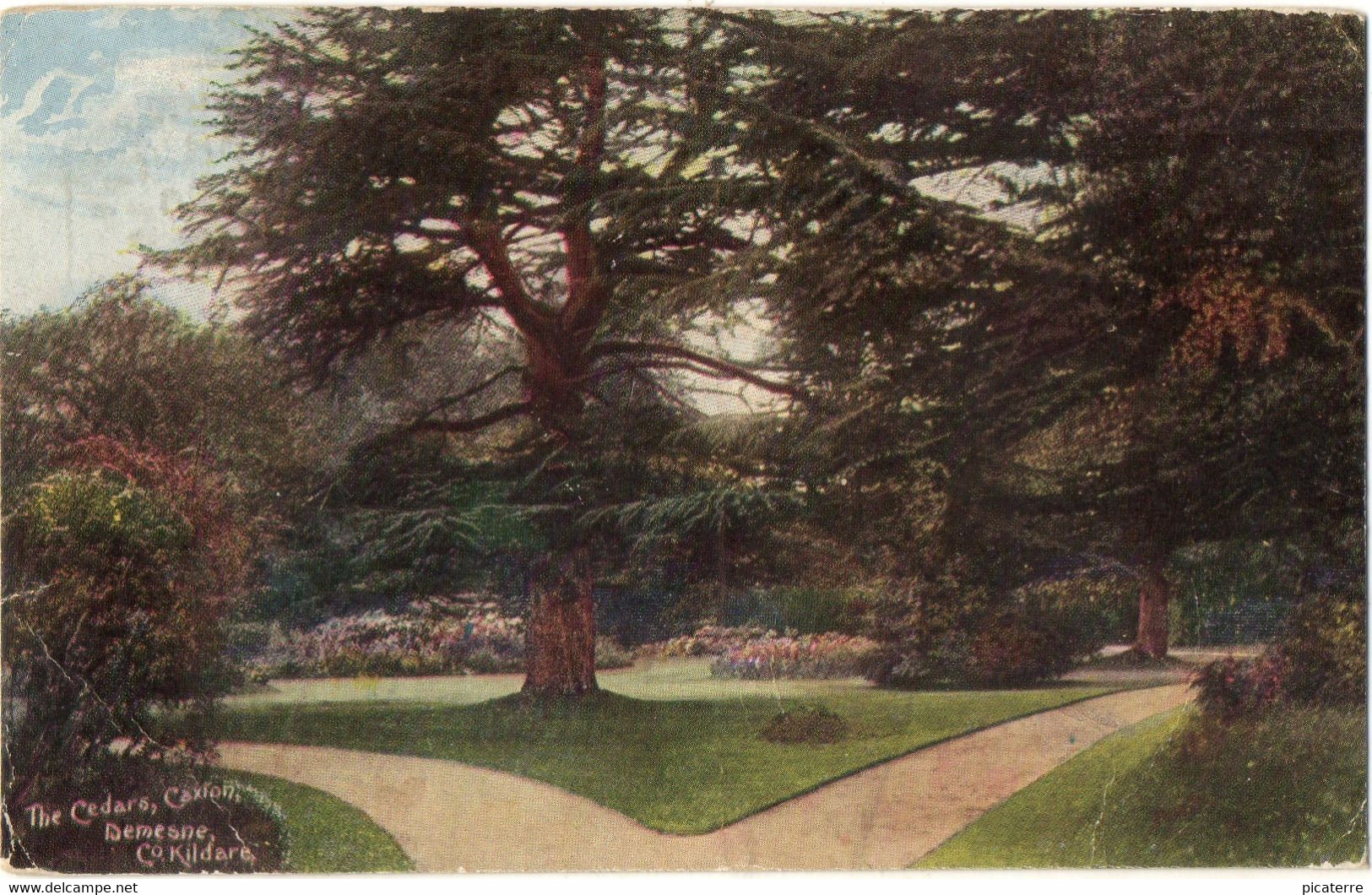 The Cedars, Caxton, Demesne, Co.Kildare 1909 - Kildare