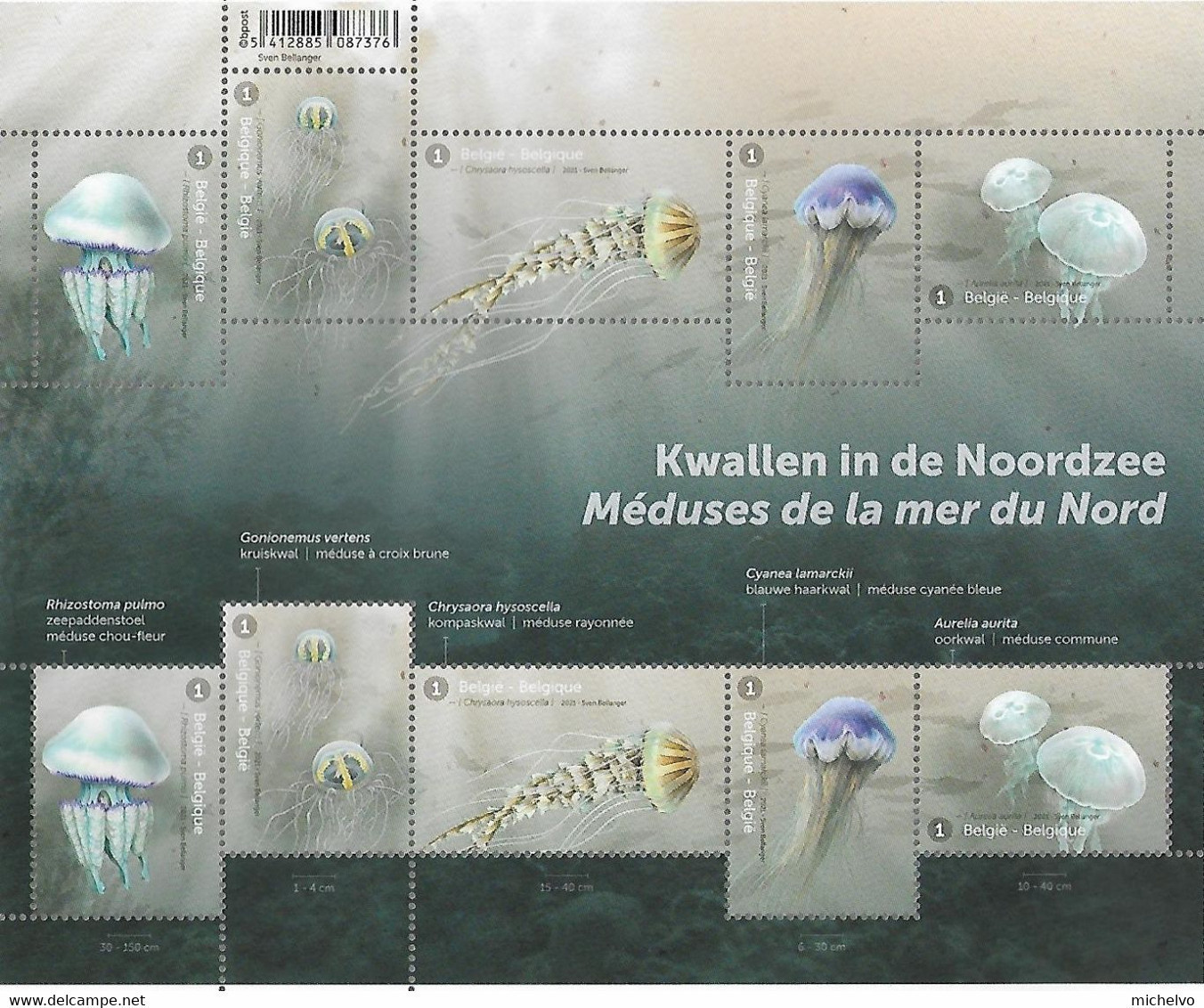 Belg. 2021 - COB N° 4998 à 5002 ** - Méduses De La Mer Du Nord - Unused Stamps