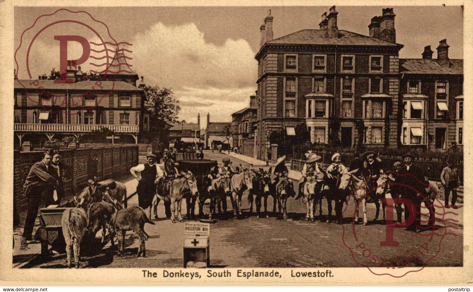 THE DONKEYS SOUTH ESPLANADE LOWESTOFT SUFFOLK  ANE DONKEY EZEL - Lowestoft