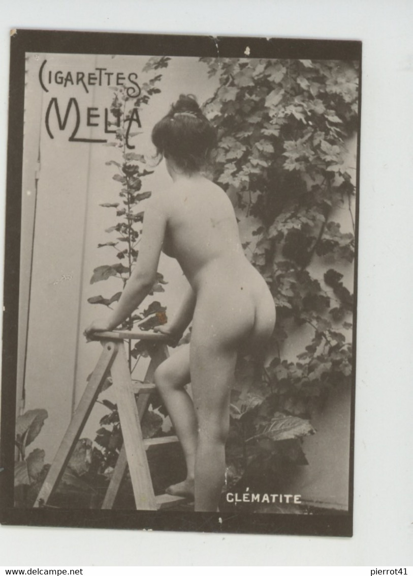 CHROMOS CIGARETTES - PUB Pour CIGARETTES MELIA ALGER - Nus - Artiste 1900 - CLEMATITE - Melia
