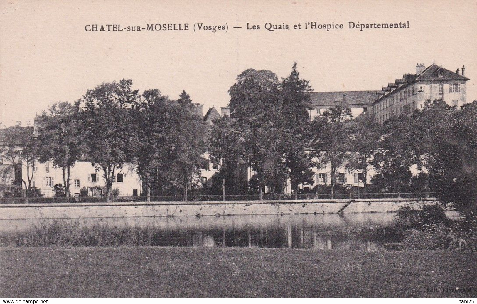 CHATEL SUR MOSELLE LES QUAIS ET L HOSPICE DEPARTEMENTAL - Chatel Sur Moselle